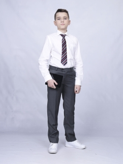 Брюки для мальчика Classic Лион (ШФ-1035)
