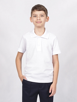 Спортивная футболка-поло для мальчика (ШФ-1478)