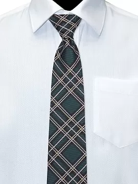 Галстук Рио комби (GAL-033/280)