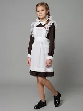 Фартук школьный (ШФ-1384)