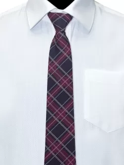 Галстук Рио комби Виктория (GAL-04/281)
