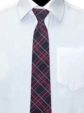 Галстук Рио комби Виктория (GAL-04/281)