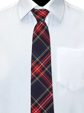 Галстук Агидель (GAL-03/286)