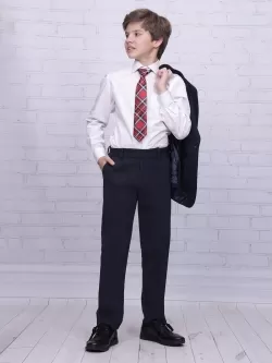 Брюки для мальчика Рио (ШФ-2174)