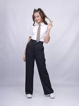 Школьные брюки Ломоносов (ШФ-2047)