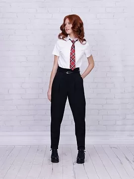 Школьные брюки Агат (ШФ-2130)
