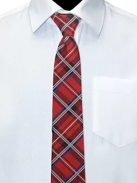 Галстук Рио комби (GAL-04/266)