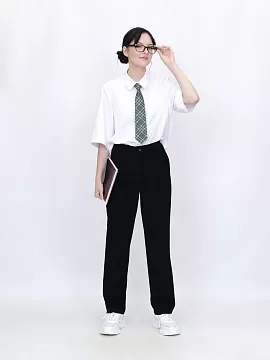 Школьные брюки Агат (ШФ-2462)