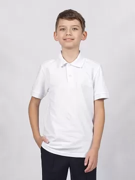 Спортивная футболка-поло для мальчика (ШФ-1378)