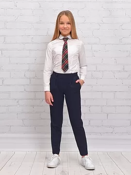 Школьные брюки Верона (ШФ-1800)