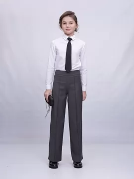 Школьные брюки Престиж (ШФ-2210)