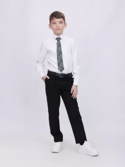 Брюки для мальчика Slim Fit Рио (ШФ-953)