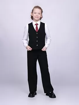 Школьные брюки Рио (ШФ-2390)