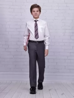 Брюки для мальчика Престиж  (ШФ-953)
