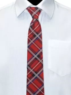 Галстук Рио комби (GAL-04/266)
